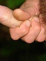 pic dick porn butt hugz pubic hair clip