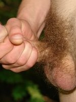 wankers dicks boyz hard-core pubic hair sucker bulge